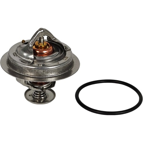Thermostat for massey - thermostat,